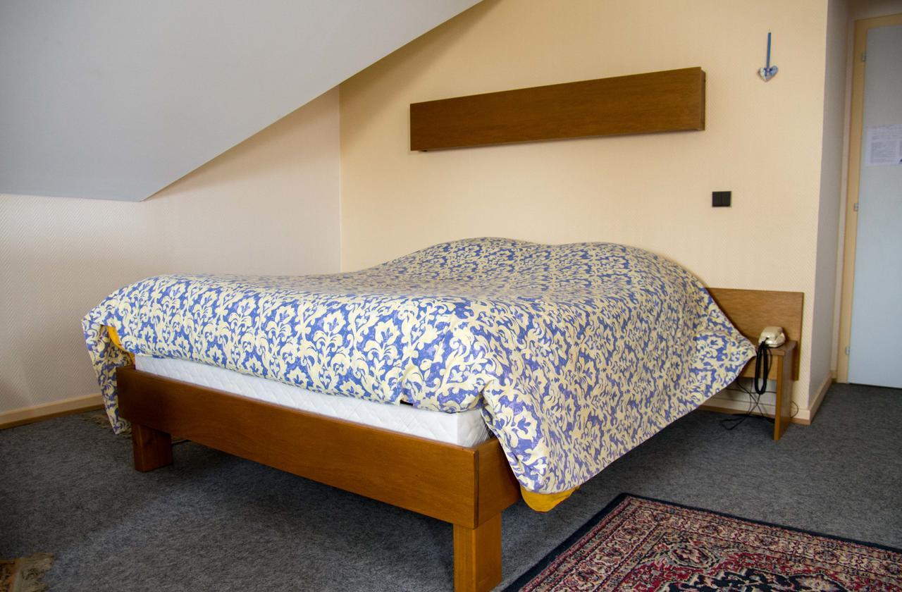 Hotel De Bale Bantzenheim Εξωτερικό φωτογραφία