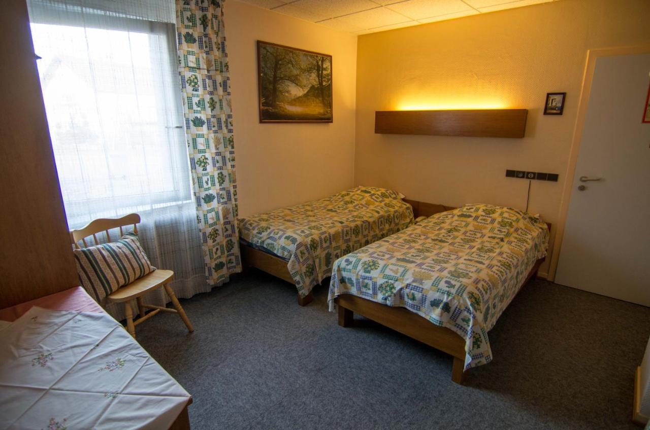 Hotel De Bale Bantzenheim Εξωτερικό φωτογραφία